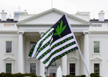 A demonstrator waves a marijuana-themed flag in front on the White House. President Biden is pardoning thousands of Americans convicted of 'simple possession' of marijuana under federal law. (Jose Luis Magana/AP)