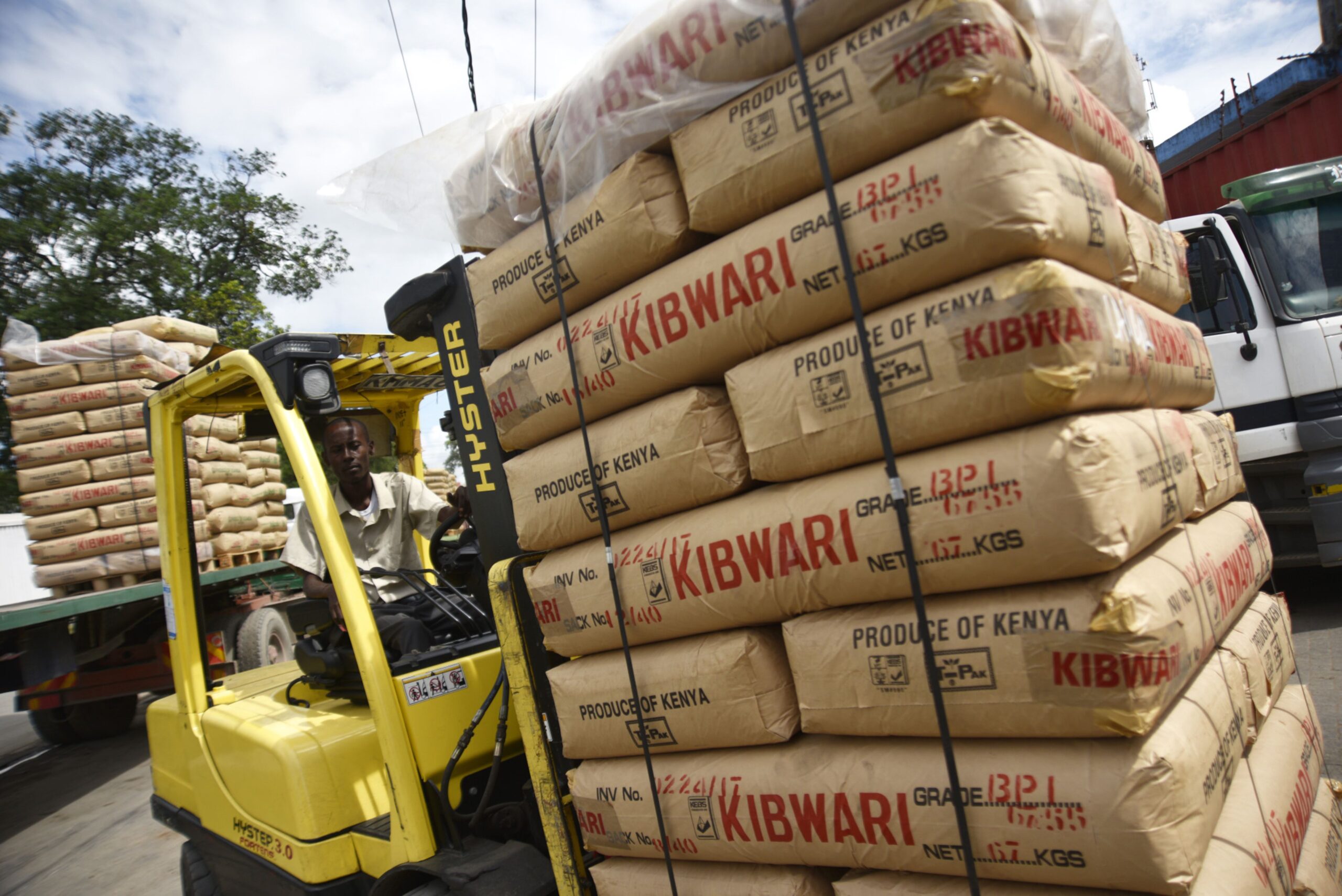 Currency drop helps Kenyan tea exports top $1 Billion in 2022