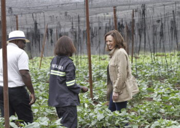 Vice President Kamala Harris visits Panuka Farm outside Lusaka, Zambia, on Saturday April 1, 2023. Harris is on the last leg of a a seven-day African visit that took her to Ghana and Tanzania. Photo credit: Angela Nandeka, The Associated Press