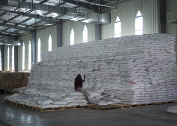 A worker walks next to a pile of sacks of food earmarked for the Tigray and Afar regions in a warehouse of the World Food Programme (WFP) in Semera, the regional capital for the Afar region, in Ethiopia Monday, Feb. 21, 2022. Photo credit: The Associated Press