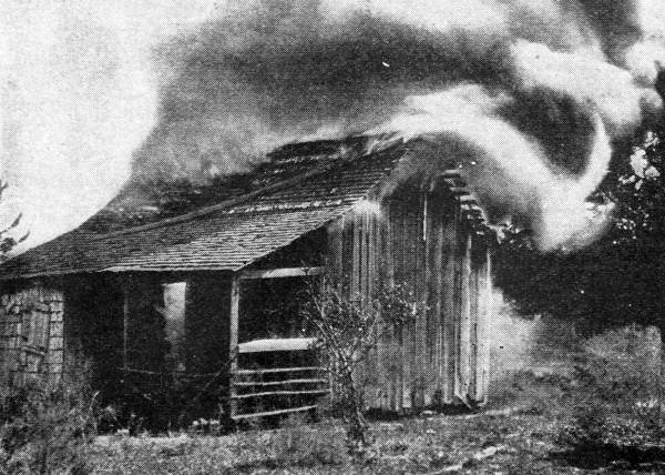 The deliberate burning of the Black quarter of Rosewood, Florida, in January 1923 led inhabitants to flee into the woods. Photo credit: Public domain