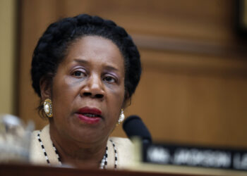 U.S. Rep. Sheila Jackson Lee, D-Texas, speaks during a hearing of the House Judiciary Subcommittee on Crime, Terrorism, Homeland Security, and Investigations, on Capitol Hill, in Washington, Tuesday, April 4, 2017. Jackson Lee died Friday after battling pancreatic cancer. Photo credit: Alex Brandon, The Associated Press