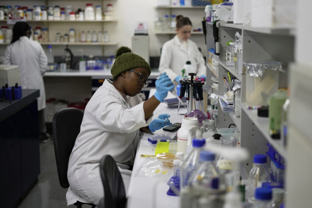 Laboratory technician Nozipho Mlotshwa works on samples at the Wits Laboratory Antiviral Gene Therapy Research Unit at University of the Witwatersrand Medical School, in Johannesburg, South Africa, Thursday, May 22, 2025. Photo credit: Themba Hadebe, The Associated Press